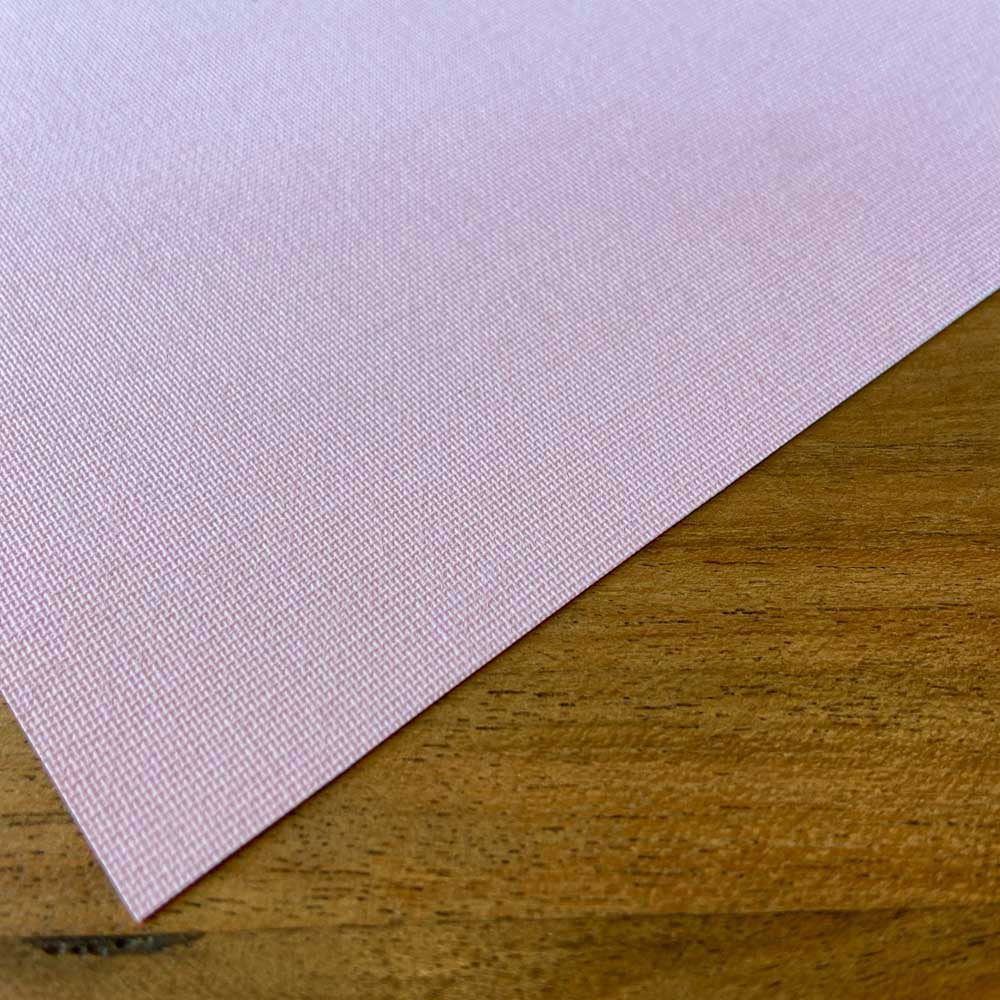 ROLLER PETRA BLACKOUT SOFT ROSE